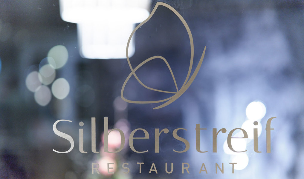 Webbanner: Silberstreif Logo mit bläulichem Hintergrund