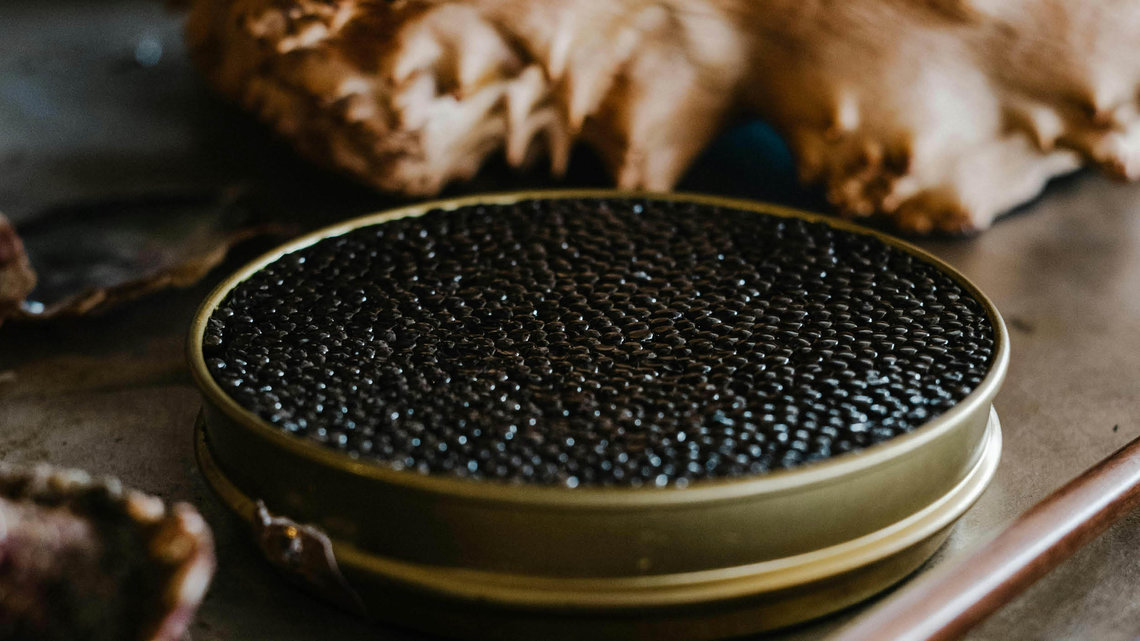 Attilus Kaviar aus Jessen von höchster Qualität