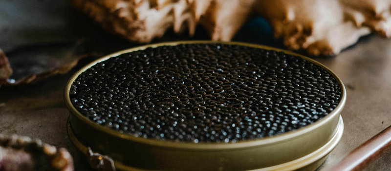 Attilus Kaviar aus Jessen von höchster Qualität