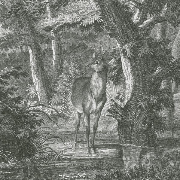 Ein  Bild von einem Hirsch im Wald, gezeichnet von Johann Elias Ridinger