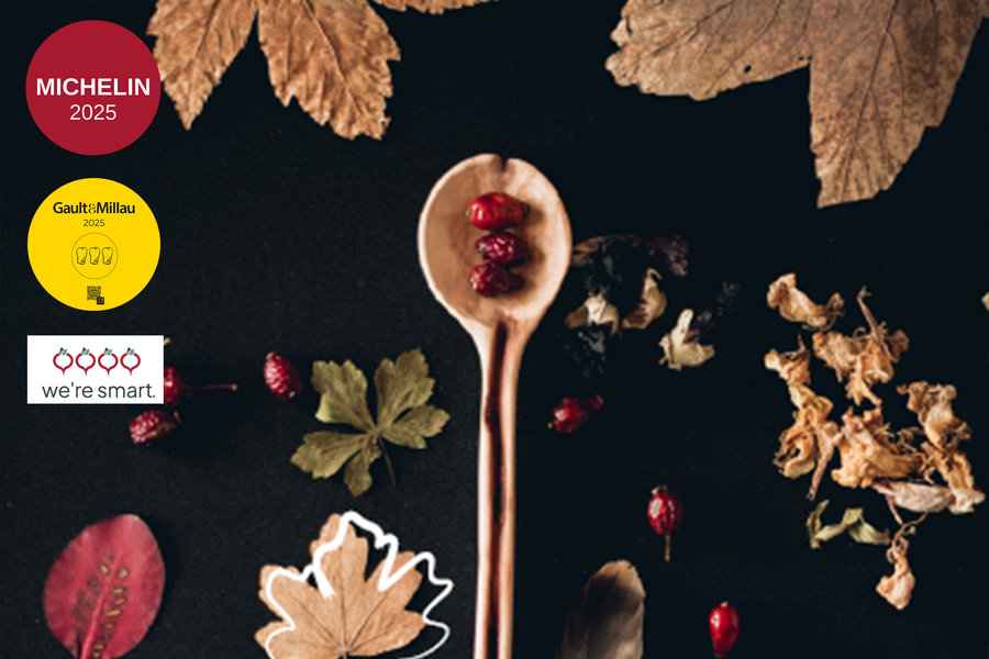 Das Titelbild der Silberstreif Herbstbroschüre dient als Header der Website.